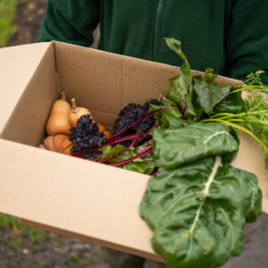 Home Farm Seasonal Produce Box - 24h needed to guarantee availability