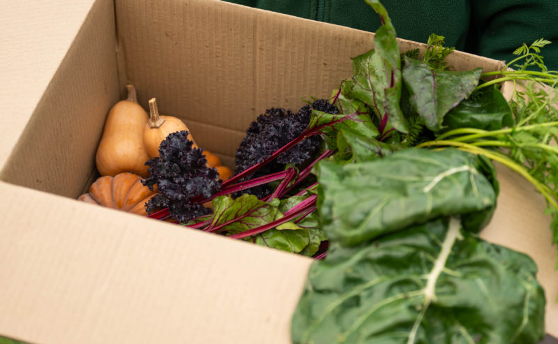 Home Farm Seasonal Produce Box – 24h needed to guarantee availability